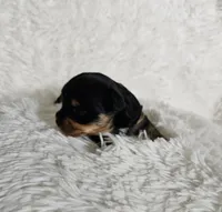 processed/f9e2b108-9cf0-4cd0-bb8a-a0d0606d891c/listing/bdb1b176-bbc8-4b29-b376-9808a793df4e/46cbfd40-4812-481d-b4f4-6897593049bd