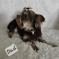 processed/f9e2b108-9cf0-4cd0-bb8a-a0d0606d891c/listing/bdb1b176-bbc8-4b29-b376-9808a793df4e/85a04387-50f7-43f4-bde7-c2df583f8e12