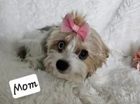 processed/f9e2b108-9cf0-4cd0-bb8a-a0d0606d891c/listing/bdb1b176-bbc8-4b29-b376-9808a793df4e/a8f91771-8c50-4c9a-abc6-a9f6f21d1776