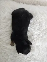 processed/f9e2b108-9cf0-4cd0-bb8a-a0d0606d891c/listing/bdb1b176-bbc8-4b29-b376-9808a793df4e/be35453e-d97e-495c-bd24-75bb2ee6462f