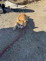 processed/f9e85c9b-3c8a-485e-b37b-410d6b48d3a3/listing/2f4a09b9-882d-4f65-888e-fa126d487700/409b86ef-94cd-4c99-b01b-f713062b1b06