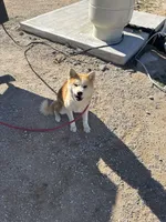 processed/f9e85c9b-3c8a-485e-b37b-410d6b48d3a3/listing/2f4a09b9-882d-4f65-888e-fa126d487700/47af8521-6cb0-4883-a34a-68653a763d5f