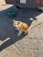 processed/f9e85c9b-3c8a-485e-b37b-410d6b48d3a3/listing/2f4a09b9-882d-4f65-888e-fa126d487700/54fd9718-7925-491b-bb06-aef27babb2c7