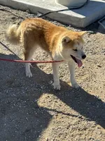 processed/f9e85c9b-3c8a-485e-b37b-410d6b48d3a3/listing/2f4a09b9-882d-4f65-888e-fa126d487700/5b0da082-4a44-432c-8ea8-5770d84b5ebf