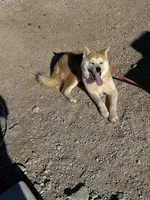 processed/f9e85c9b-3c8a-485e-b37b-410d6b48d3a3/listing/2f4a09b9-882d-4f65-888e-fa126d487700/6c44c6d1-e2fc-4904-81e4-257d87f6aa6b