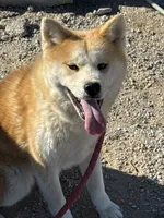 processed/f9e85c9b-3c8a-485e-b37b-410d6b48d3a3/listing/2f4a09b9-882d-4f65-888e-fa126d487700/792c85f7-1023-4068-996f-883d44c99ed0