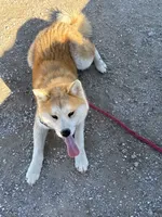 processed/f9e85c9b-3c8a-485e-b37b-410d6b48d3a3/listing/2f4a09b9-882d-4f65-888e-fa126d487700/b33adc83-9860-4d9a-8983-6d0e86b690c4