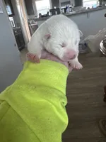 processed/f9e85c9b-3c8a-485e-b37b-410d6b48d3a3/listing/47b0197c-2b54-4485-9f8e-611c5d4c7c46/1bfce3f8-86e0-462d-9ab1-4983d317fe35