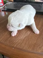 processed/f9e85c9b-3c8a-485e-b37b-410d6b48d3a3/listing/47b0197c-2b54-4485-9f8e-611c5d4c7c46/b1fcc6f0-0e59-466f-91fa-4f794c71063e