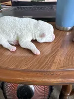 processed/f9e85c9b-3c8a-485e-b37b-410d6b48d3a3/listing/47b0197c-2b54-4485-9f8e-611c5d4c7c46/eb4442ad-4fe6-469e-b79c-142656250e65