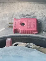 Akita 3, a female Japanese Akita for sale in Lucerne Valley, CA – Photo 5 of 6