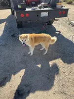 processed/f9e85c9b-3c8a-485e-b37b-410d6b48d3a3/listing/a971ac4b-315b-4b92-b54c-45e4cb0eb066/492df9f2-f7fb-4562-9e48-39808e39f78e