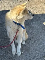 processed/f9e85c9b-3c8a-485e-b37b-410d6b48d3a3/listing/a971ac4b-315b-4b92-b54c-45e4cb0eb066/4b08bde8-aa4f-43e0-b7fe-e604d7a26237