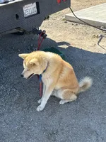 processed/f9e85c9b-3c8a-485e-b37b-410d6b48d3a3/listing/a971ac4b-315b-4b92-b54c-45e4cb0eb066/5ff11734-99d4-47d4-92c2-5cbd019a9b88