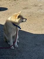 processed/f9e85c9b-3c8a-485e-b37b-410d6b48d3a3/listing/a971ac4b-315b-4b92-b54c-45e4cb0eb066/6d1d46bb-eb93-4801-a16a-8e2b9383663c