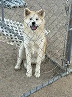 processed/f9e85c9b-3c8a-485e-b37b-410d6b48d3a3/listing/a971ac4b-315b-4b92-b54c-45e4cb0eb066/7bec7a78-6bac-4194-b85e-98d025f41804