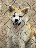 processed/f9e85c9b-3c8a-485e-b37b-410d6b48d3a3/listing/a971ac4b-315b-4b92-b54c-45e4cb0eb066/fc1ec959-78ac-49aa-ac6b-73c5a26771a4