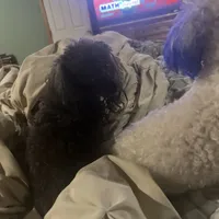 processed/f9fafb3c-24bf-4840-a264-784b5ef57ad2/facility/1d8336ea-e7c9-4f7e-b26c-0ca536684886