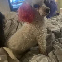 processed/f9fafb3c-24bf-4840-a264-784b5ef57ad2/facility/924a8c5a-4174-4848-ab67-92e44818549e