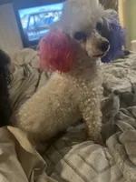 processed/f9fafb3c-24bf-4840-a264-784b5ef57ad2/facility/924a8c5a-4174-4848-ab67-92e44818549e