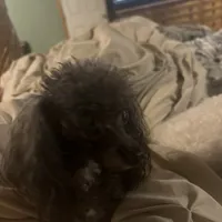 processed/f9fafb3c-24bf-4840-a264-784b5ef57ad2/facility/ea490022-7730-4c69-9f28-591b718b0730