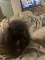 processed/f9fafb3c-24bf-4840-a264-784b5ef57ad2/facility/ea490022-7730-4c69-9f28-591b718b0730