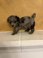 processed/f9fafb3c-24bf-4840-a264-784b5ef57ad2/listing/d87764b8-b356-448a-b63c-167f82d91436/2af55fc8-6306-4708-84d4-4059f8f6108c