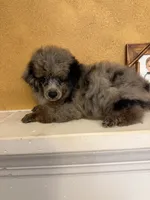 processed/f9fafb3c-24bf-4840-a264-784b5ef57ad2/listing/d87764b8-b356-448a-b63c-167f82d91436/5e494208-f5ce-468f-8f46-baad556bc8ae