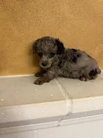 processed/f9fafb3c-24bf-4840-a264-784b5ef57ad2/listing/d87764b8-b356-448a-b63c-167f82d91436/7bad1b1c-067c-4e2c-a541-537dc9a11537