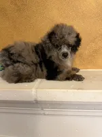 processed/f9fafb3c-24bf-4840-a264-784b5ef57ad2/listing/d87764b8-b356-448a-b63c-167f82d91436/9a64ef1c-cda0-4092-9de6-a78ba4d036b4