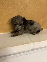 processed/f9fafb3c-24bf-4840-a264-784b5ef57ad2/listing/d87764b8-b356-448a-b63c-167f82d91436/b15889c0-d3bd-44e4-991a-ac017da1b12c