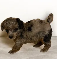 processed/f9fafb3c-24bf-4840-a264-784b5ef57ad2/listing/d87764b8-b356-448a-b63c-167f82d91436/bab6e2c8-63fa-4e6f-966c-c7b3d21083ec