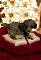 processed/f9fafb3c-24bf-4840-a264-784b5ef57ad2/listing/d87764b8-b356-448a-b63c-167f82d91436/d0b50e8b-c729-42af-a474-17a0c70e1e93