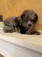 processed/f9fafb3c-24bf-4840-a264-784b5ef57ad2/listing/d87764b8-b356-448a-b63c-167f82d91436/e0ca1ca0-137e-44d0-a3f2-ab8d6bdc4832