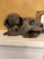 processed/f9fafb3c-24bf-4840-a264-784b5ef57ad2/listing/d87764b8-b356-448a-b63c-167f82d91436/ee014e48-a101-4627-8562-d1d3ee974f6b