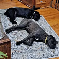 processed/fa01f870-922d-4482-aa66-11226bd25bee/facility/2c8923bb-6af1-4f70-81bc-f7574831b5ec