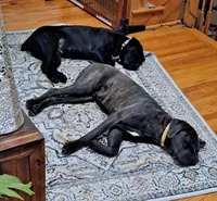 processed/fa01f870-922d-4482-aa66-11226bd25bee/facility/2c8923bb-6af1-4f70-81bc-f7574831b5ec