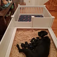 processed/fa01f870-922d-4482-aa66-11226bd25bee/facility/aa1a8c5b-14d5-4ad3-bc2e-f90a5e3d85e9