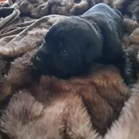 processed/fa01f870-922d-4482-aa66-11226bd25bee/facility/addbbd91-c51b-4599-a7a5-6b06cfcb3109