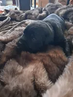 processed/fa01f870-922d-4482-aa66-11226bd25bee/facility/addbbd91-c51b-4599-a7a5-6b06cfcb3109