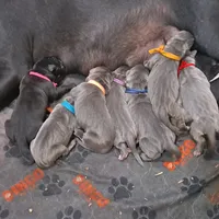 processed/fa01f870-922d-4482-aa66-11226bd25bee/facility/bf173f50-137d-4287-b8a9-a109bc2572a4