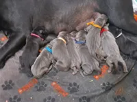 processed/fa01f870-922d-4482-aa66-11226bd25bee/facility/bf173f50-137d-4287-b8a9-a109bc2572a4