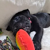 processed/fa01f870-922d-4482-aa66-11226bd25bee/facility/c15e9a09-d381-4f9b-b636-2567bcb50d80