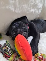 processed/fa01f870-922d-4482-aa66-11226bd25bee/facility/c15e9a09-d381-4f9b-b636-2567bcb50d80