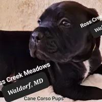 processed/fa01f870-922d-4482-aa66-11226bd25bee/facility/c1ddf5db-b26c-45df-9315-4e125ef32b3b