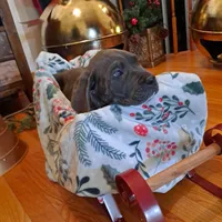 processed/fa01f870-922d-4482-aa66-11226bd25bee/facility/ea4a7eca-c421-4847-8b23-964a8763ad04