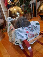 processed/fa01f870-922d-4482-aa66-11226bd25bee/facility/ea4a7eca-c421-4847-8b23-964a8763ad04