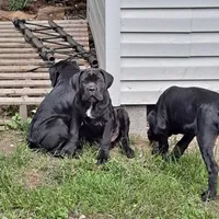 processed/fa01f870-922d-4482-aa66-11226bd25bee/facility/f1f50915-b2e8-4e27-a56e-af13c7989b63