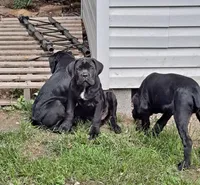 processed/fa01f870-922d-4482-aa66-11226bd25bee/facility/f1f50915-b2e8-4e27-a56e-af13c7989b63