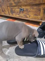 processed/fa01f870-922d-4482-aa66-11226bd25bee/listing/4318d4ac-1788-47b6-8b60-59d7b475d33c/4fa0e372-861f-4b64-b337-ff3257c21a80